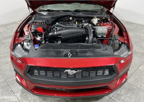Used Ford Mustang 2024