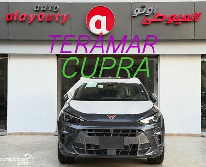 New Cupra Terramar 2025