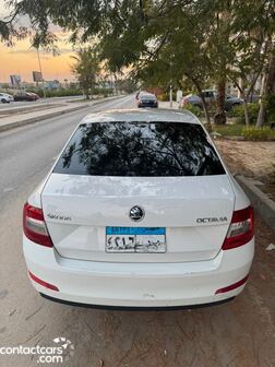 Used Skoda Octavia A7 2019