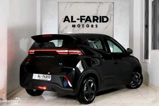New BYD Seagull 2024